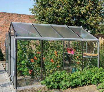 ACD Glas Gewächshaus R204H | Schwarz | 298x232x235 cm 