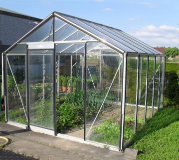 ACD Glas Gewächshaus R304H-B | Silber | 298x306x259 cm 