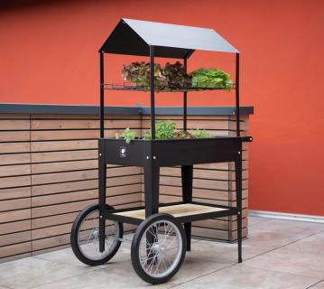 Metall Hochbeet mit Dach Expert | Schwarz | 85x65x150 cm 