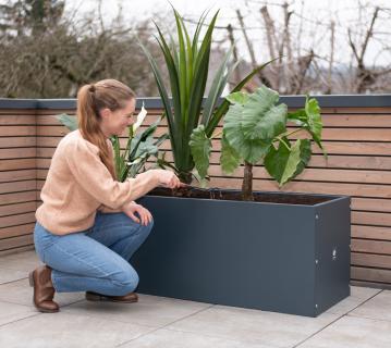 B-WARE Herstera Garden Metall Pflanzkübel Cube | Anthrazit | 150x50x50 cm 