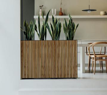 Herstera Garden Deco Planter Divider XL | hoher Pflanzkübel rechteckig | Anthrazit 
