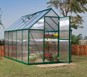 Palram - Canopia Aluminium Gewächshaus Mythos 610 | Grün | 306x185x208 cm 