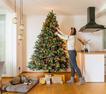 B-WARE Evergreen Künstlicher Weihnachtsbaum Vermont Fichte | Inkl. LEDs | Grün | 210 cm 