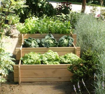 Westmann Holz Hochbeet Karla | Natur | 119x99x52 cm 