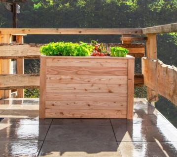 Westmann Lärchenholz Hochbeet Klassik 100 | Natur | 100x65x66 cm 