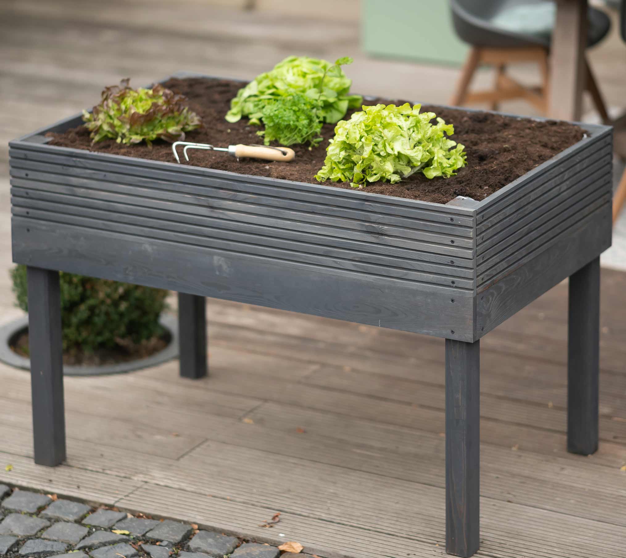 Westmann Holz Hochbeet Frieda Dunkelgrau 119x75x79 cm mygardenhome