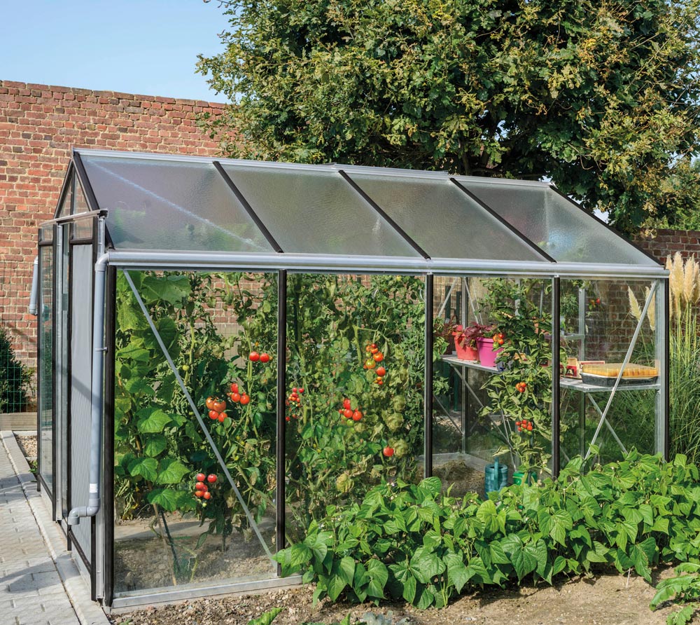 ACD Aluminium Glas Gewächshaus R206HAlu 10,32m²