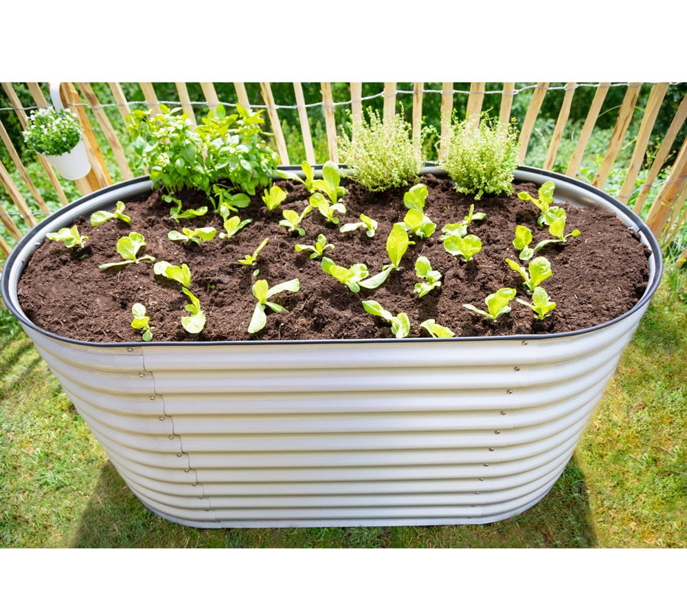 Westmann Metall Hochbeet Kräuterbeet Grow Faster silber 80x160x82 cm