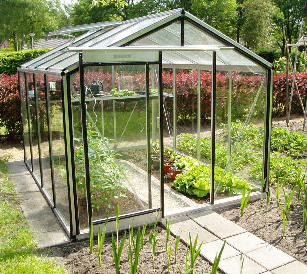 ACD Glas Gewächshaus R204H Schwarz 298x232x235 cm mygardenhome