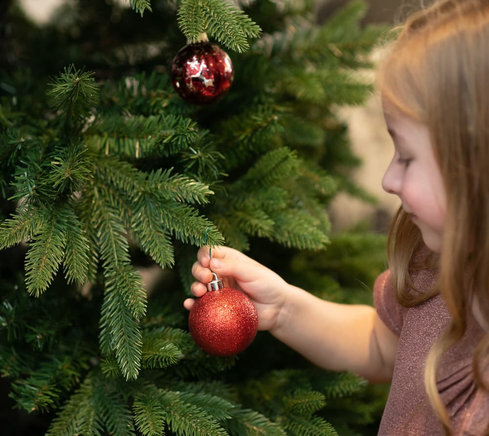 Evergreen Künstlicher Weihnachtsbaum Sherwood Fichte Grün 210 cm