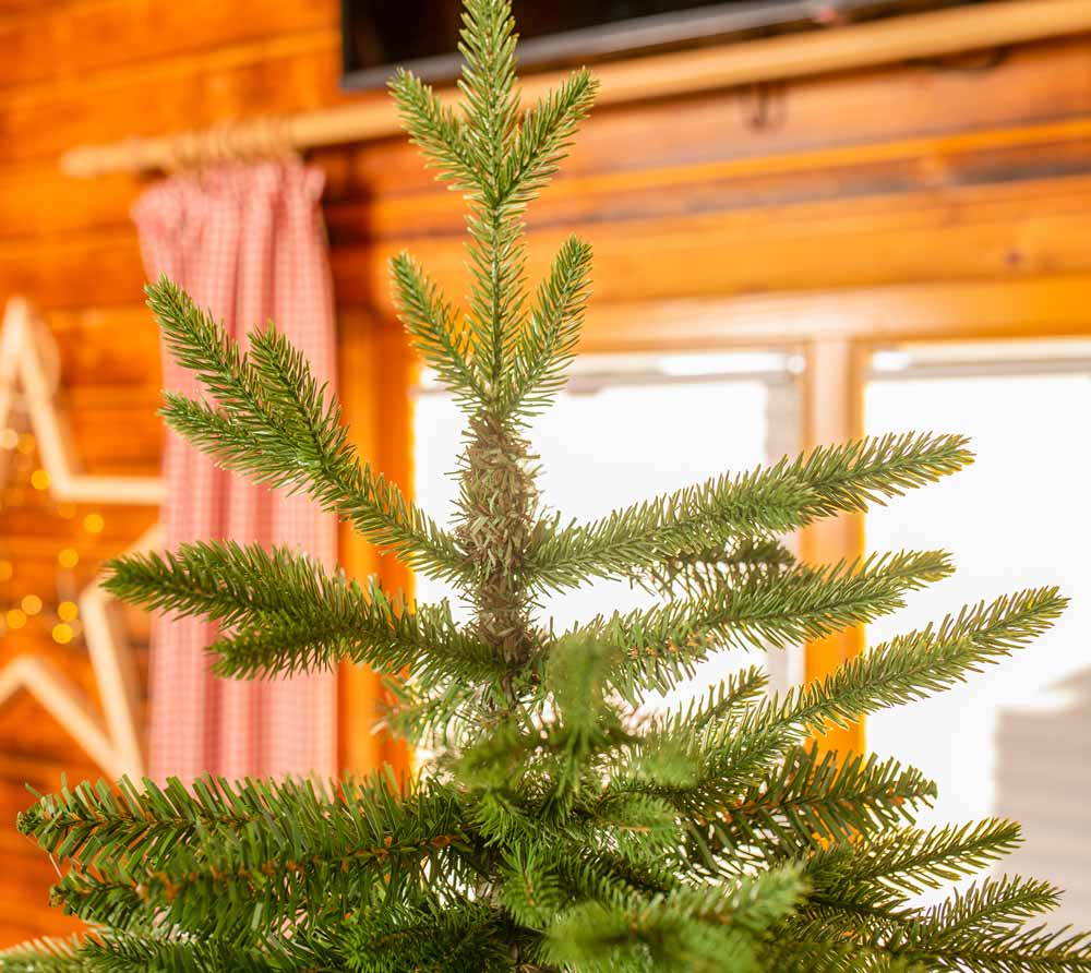 Evergreen Künstlicher Weihnachtsbaum Sherwood Fichte  Grün  180 cm 