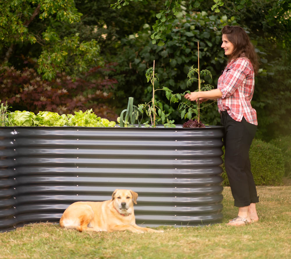 BWARE Westmann Metall Hochbeet Grow Faster Anthrazit 240x160x82 cm